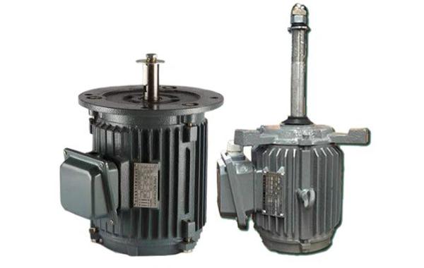 AEEV冷卻塔電動機(jī)
